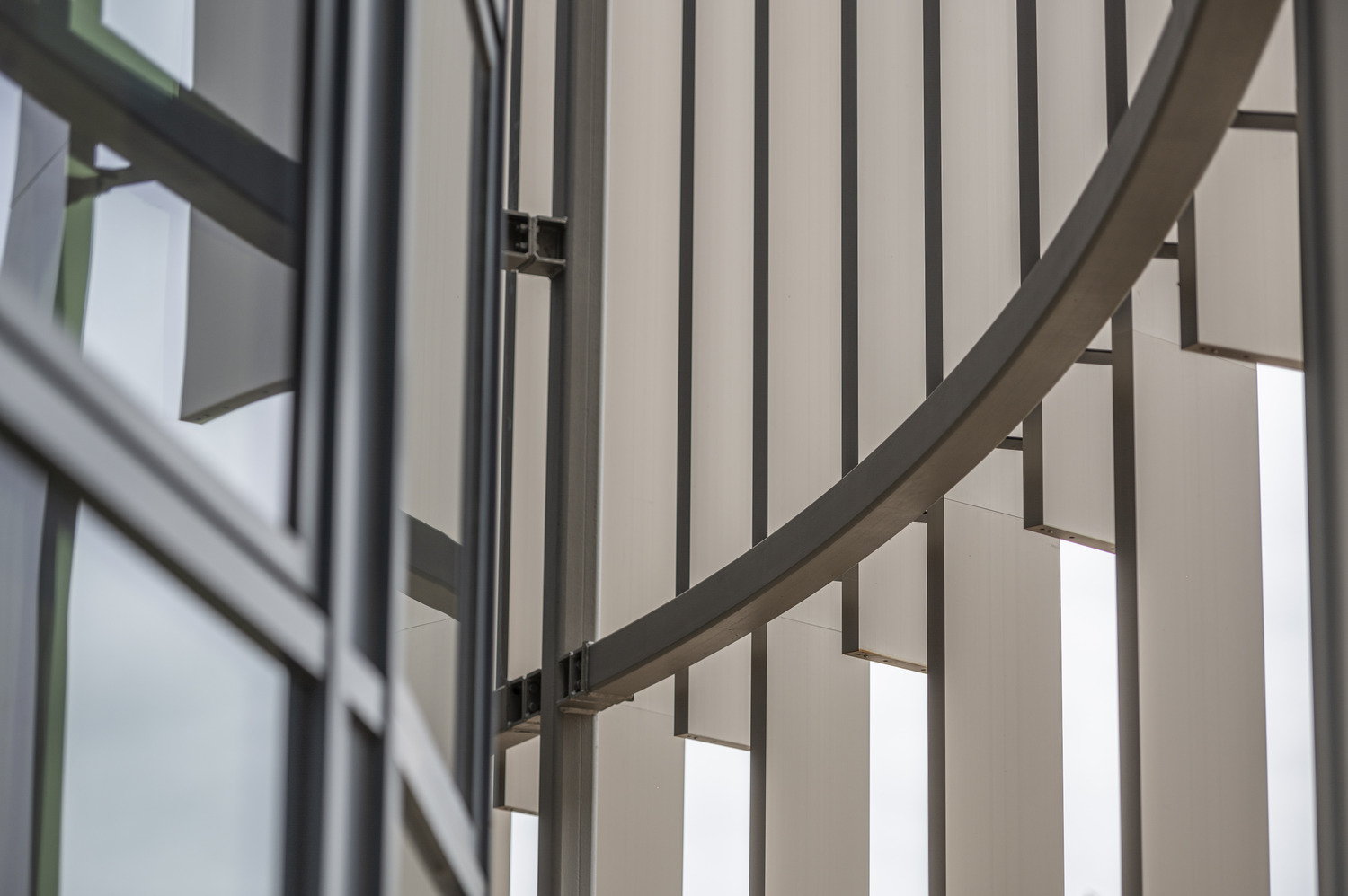 photo (c) John Cairns