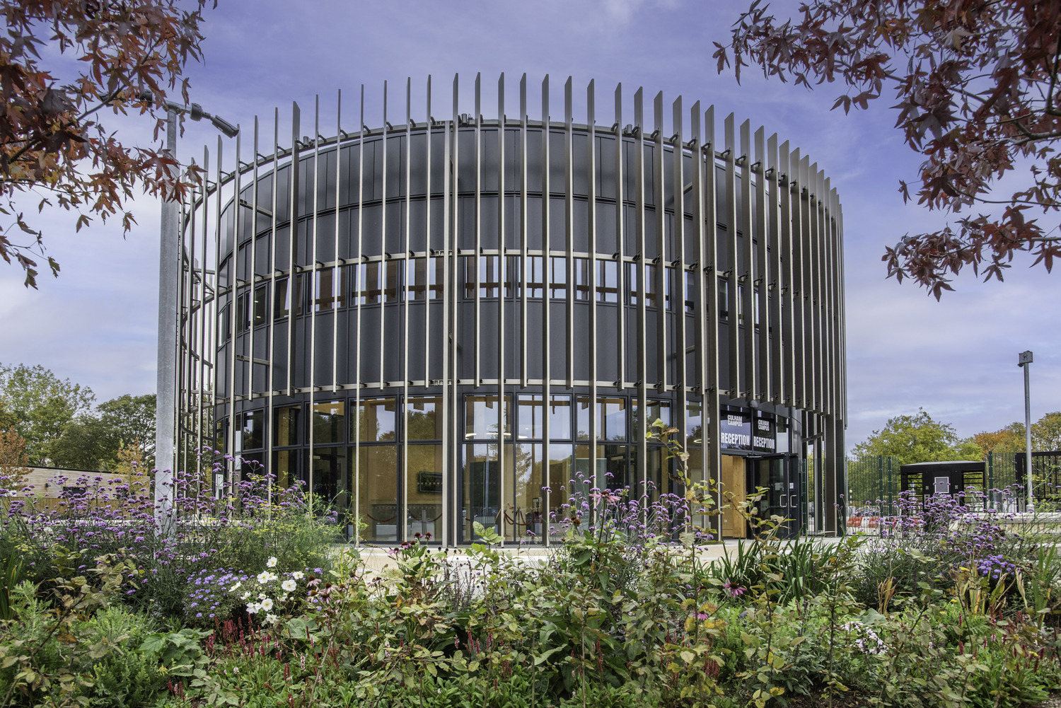 photo (c) John Cairns